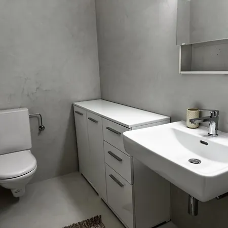 アパート Piazza Grande Duplex ロカルノ